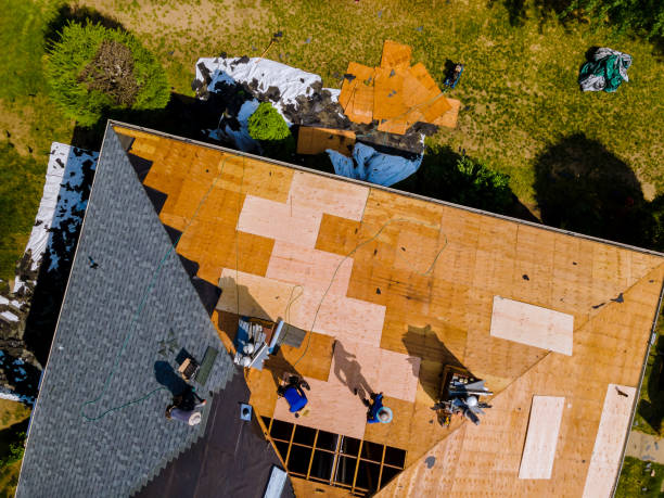 Best Metal Roofing Contractor  in Weston, MO